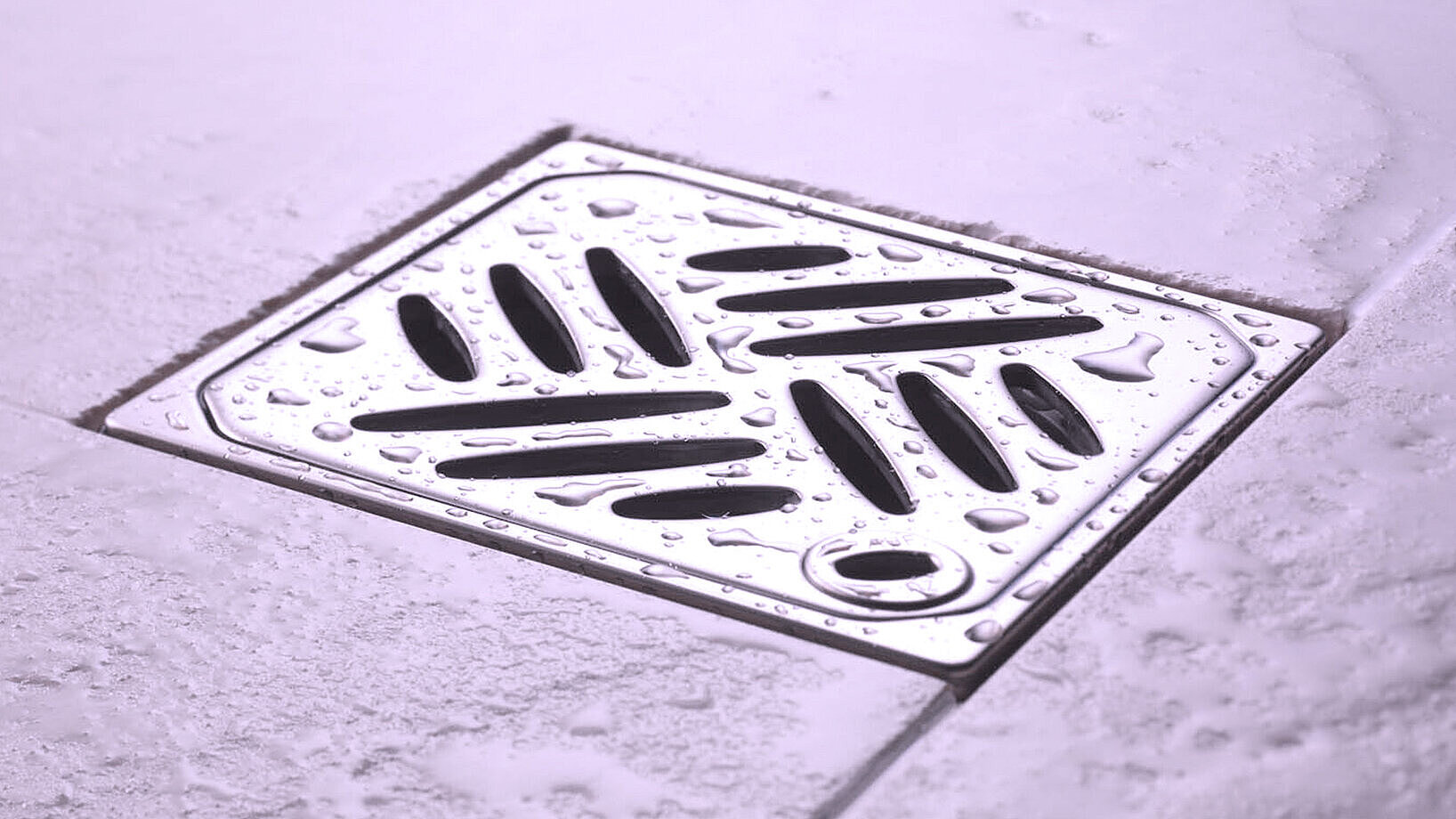 Shower drain Shower drain